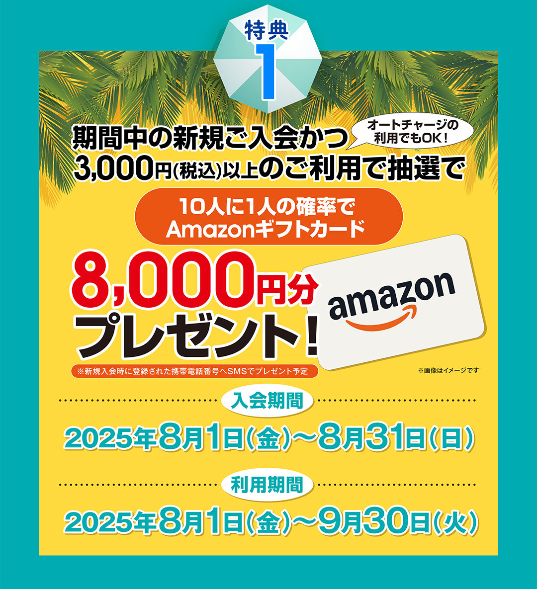 特典1　期間中の新規ご入会かつ3,000円以上のご利用で抽選で8,000円分Amazonギフトカードプレゼント！