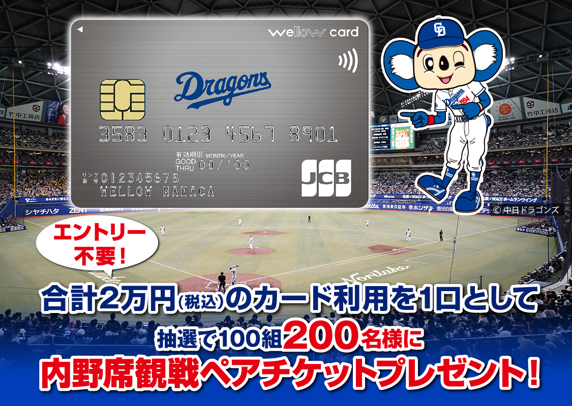 合計2万円のカード利用を一口として抽選で内野観戦ペアチケットをプレゼント