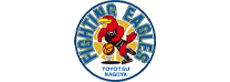 FIGHTING EAGLES